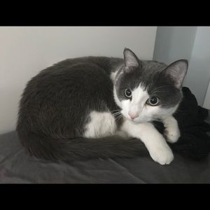 Meet your Posher, Isabella